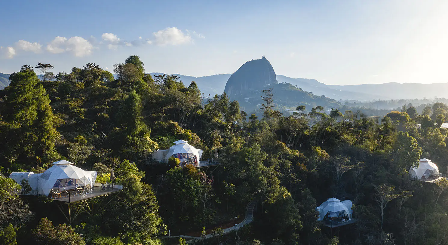 000039C animacion caoba madera-36.webp